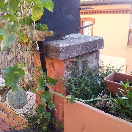 Al Giardino Di Alice 4*