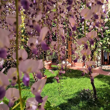 Al Giardino Di Alice 4*