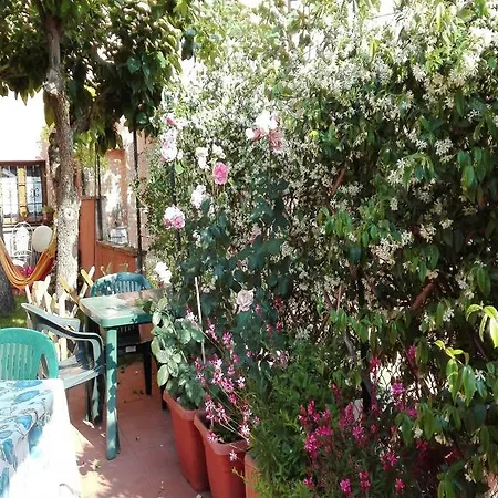 Al Giardino Di Alice 2*