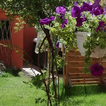 Al Giardino Di Alice فندق مبيت وإفطار 2*