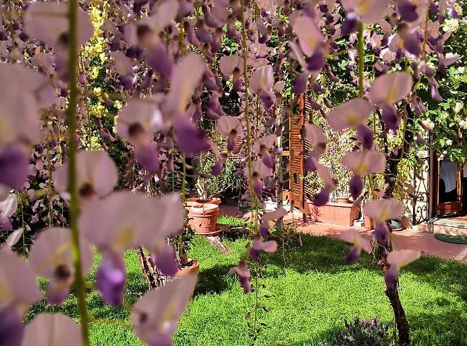 Al Giardino Di Alice 4*